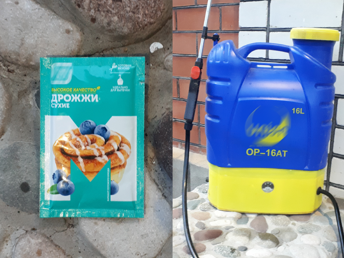 Сухие дрожжи и мой электрический опрыскиватель