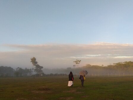 Туманное зимнее утро в Верхней Амазонии