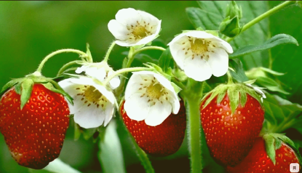 подписывайтесь на канал и ставьте лайки. 