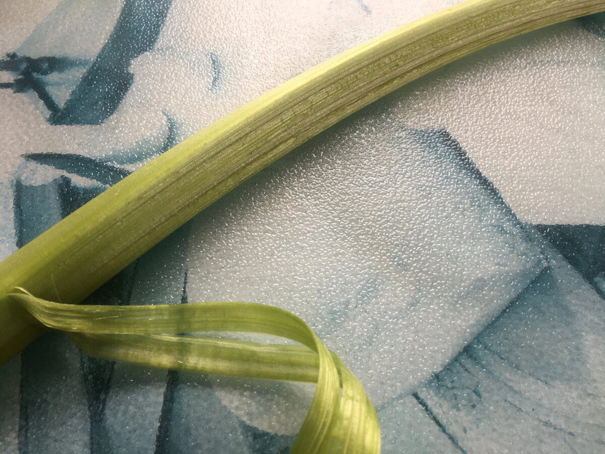 Фото: Еда без труда