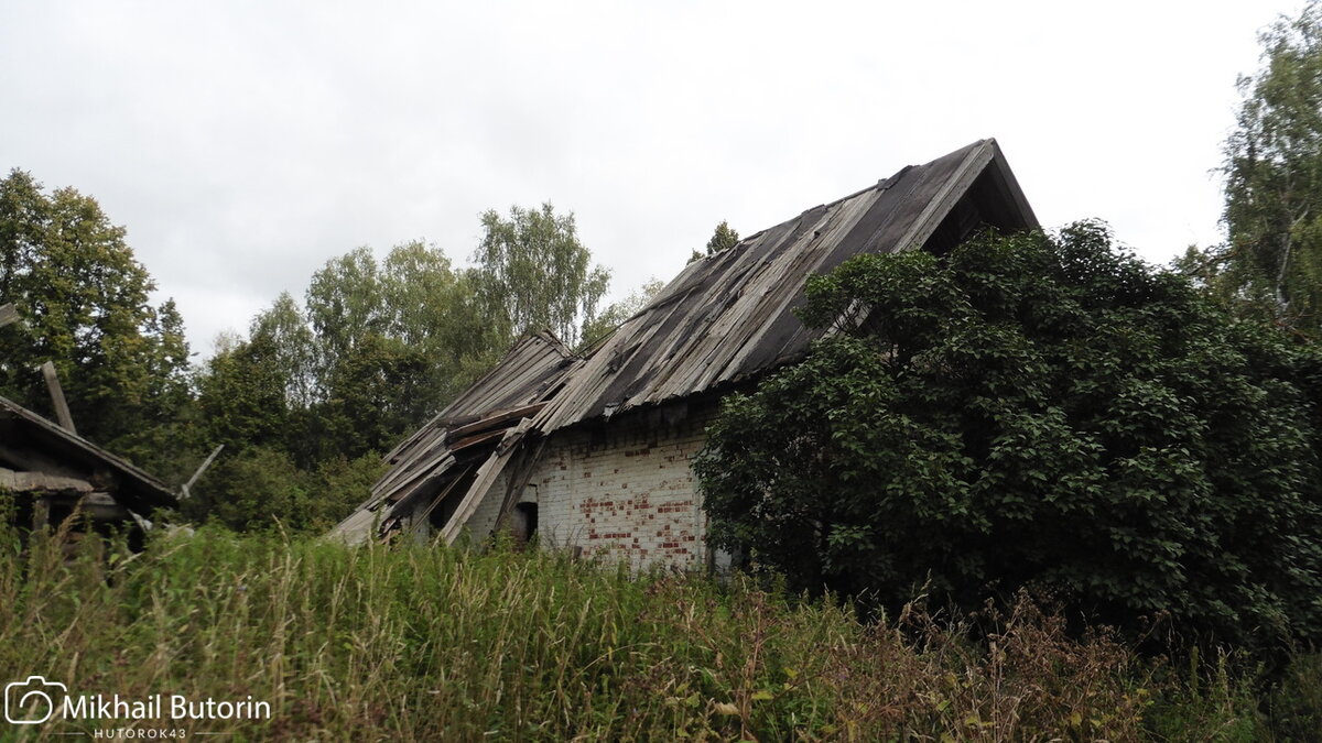 Дом и двор. Фото 2015 года.