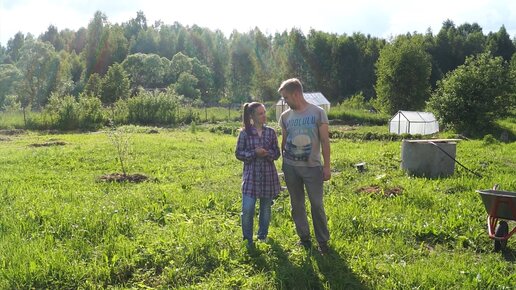 Почему мы отказались от картофеля и что будем выращивать у себя в ...