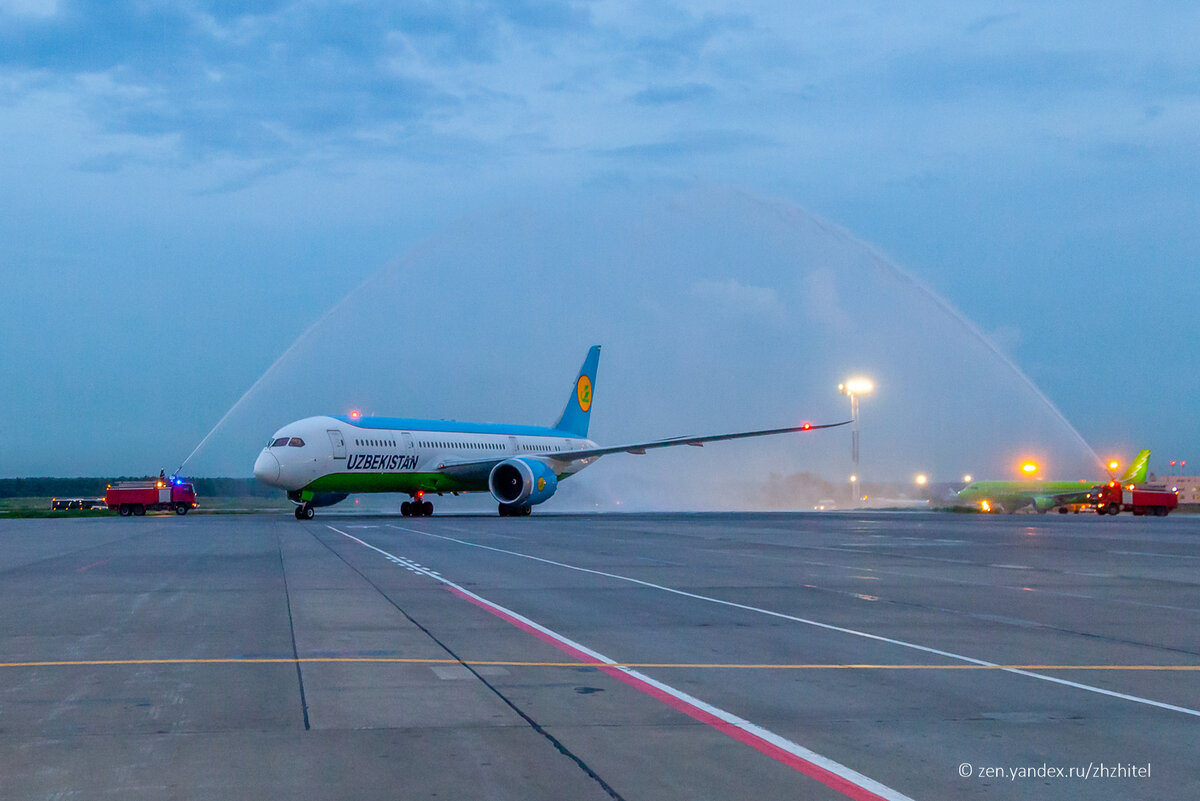 Узбечка домодедово. Uzbekistan Airways в Домодедово. Узбекские авиалинии в Домодедово. Домодедово аэропорт видео Узбекистан.