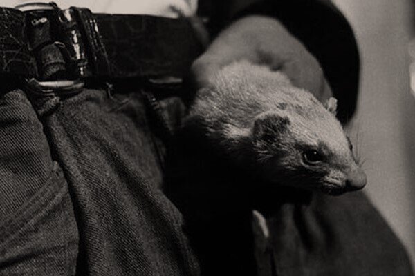 Фото из сервиса из Яндекс.Картинки