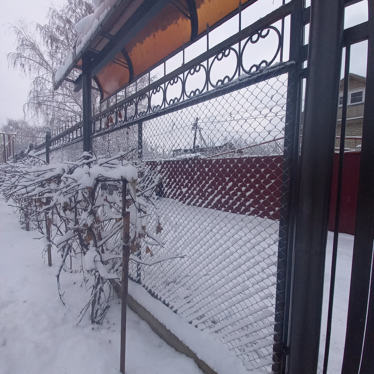 Такой забор с воротами сделали пока спереди.