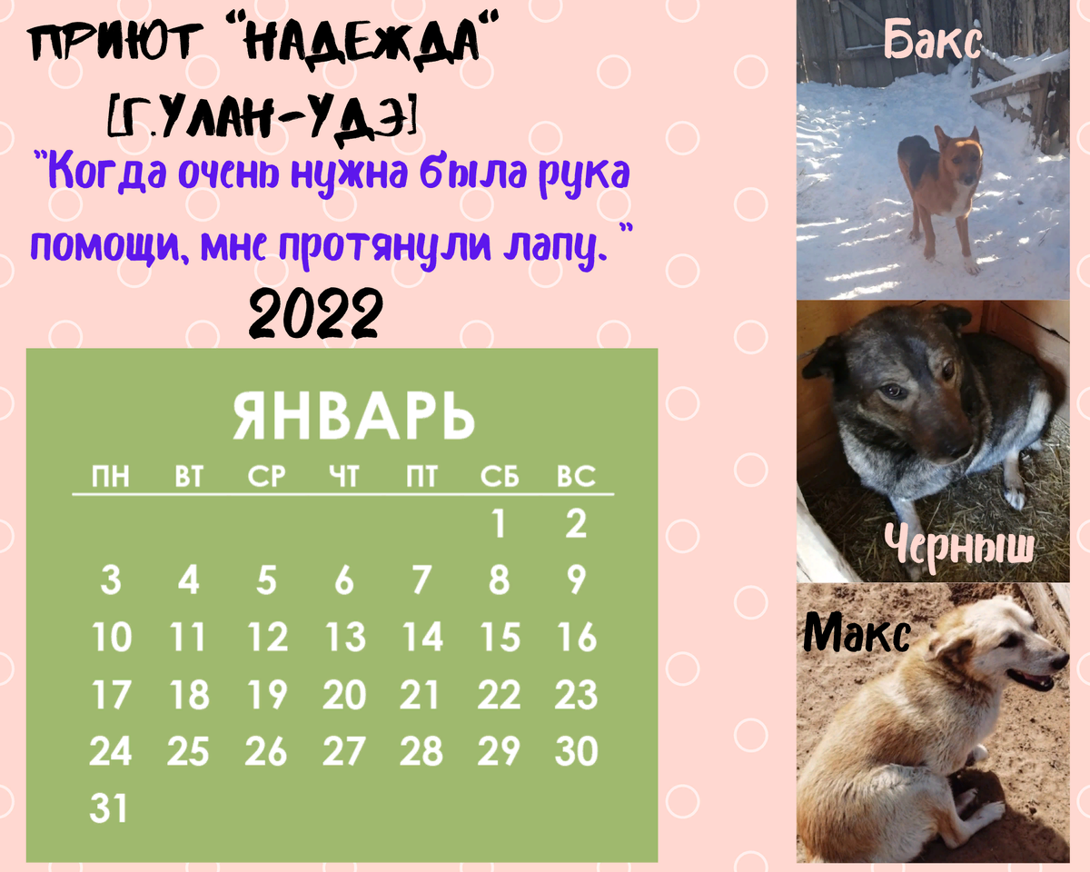 Теперь мы живём по календарю Al