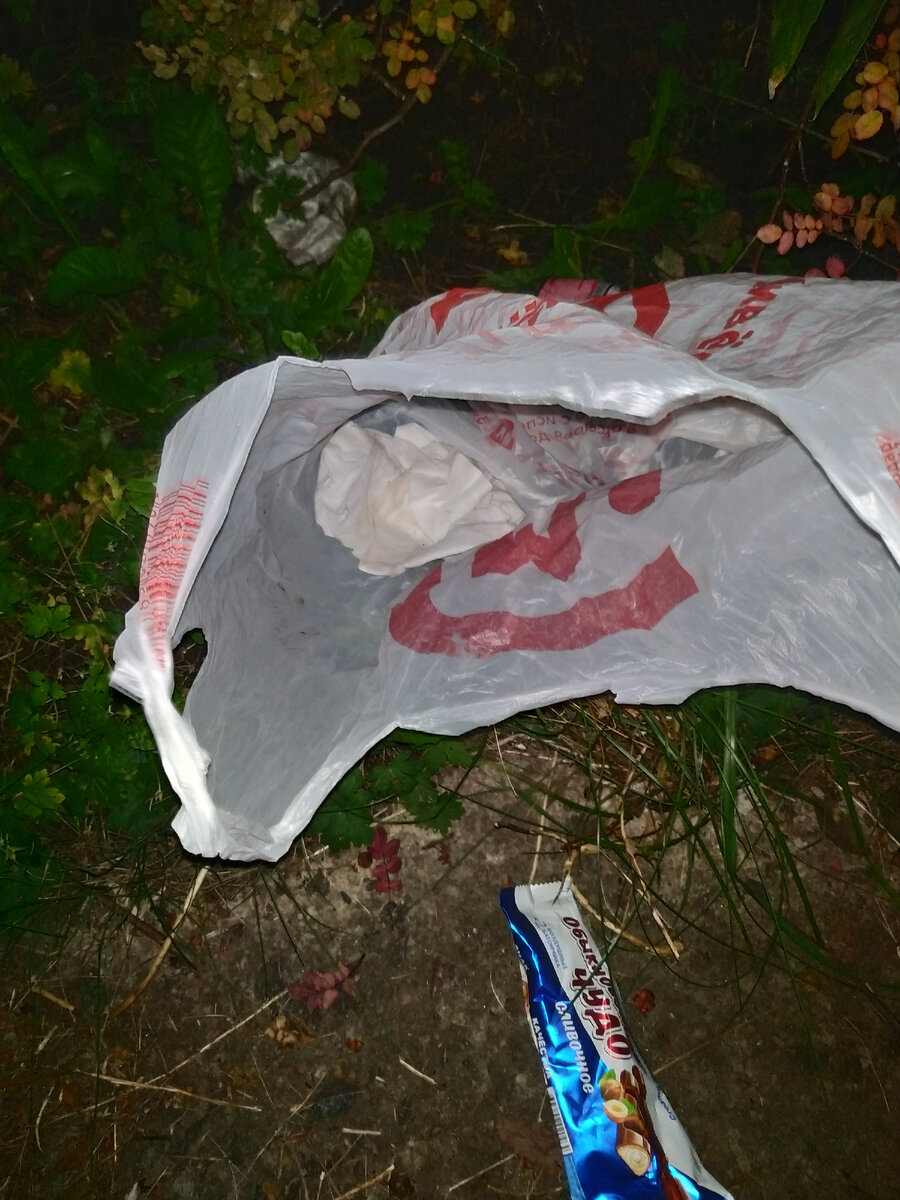 В этом пакете был Лучик. Там даже салфетки были на дне.