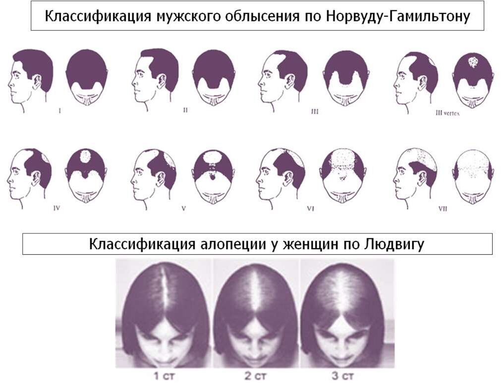 Открытый источник.