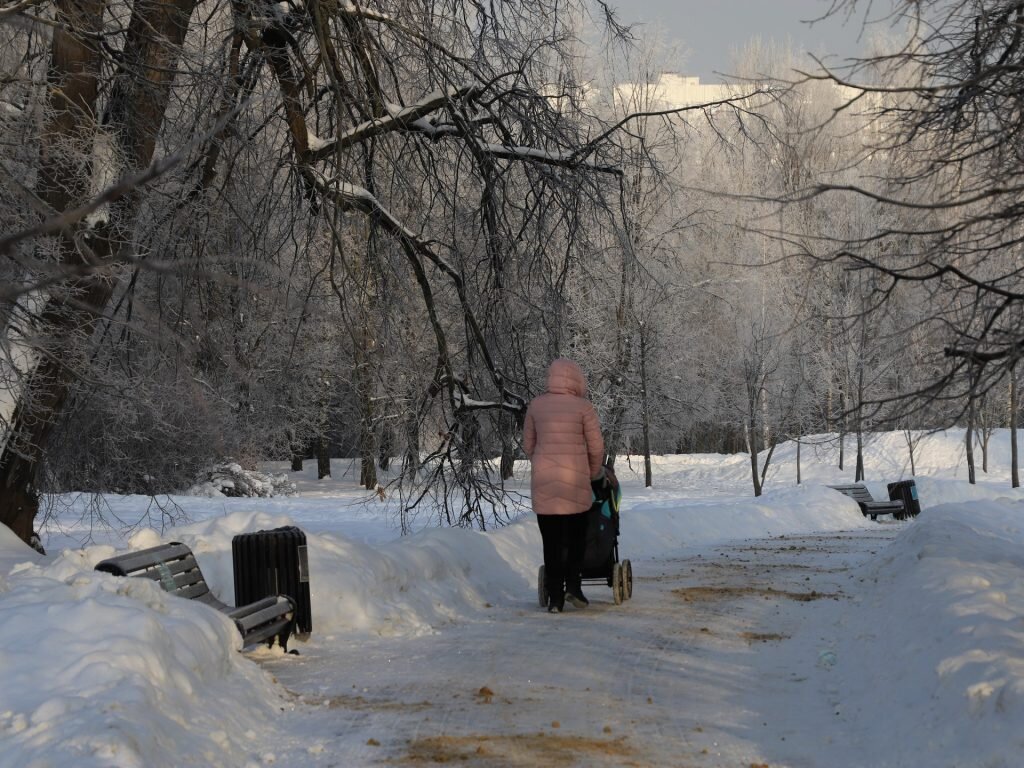 Воронцовский парк: уникальное историческое место есть на юго-западе Москвы  | Мой Дом — Москва | Дзен