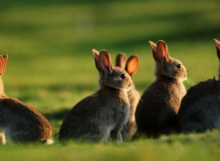 Фотография взята из источника inshe.tv 