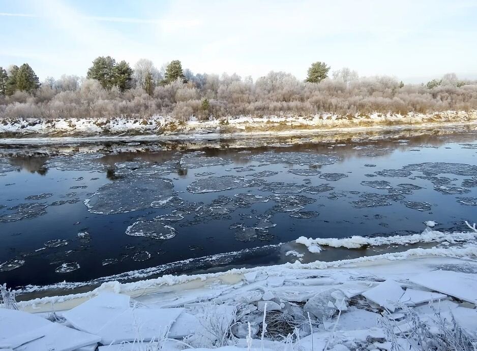 ФОТО: ГУ МЧС России по Брянской области