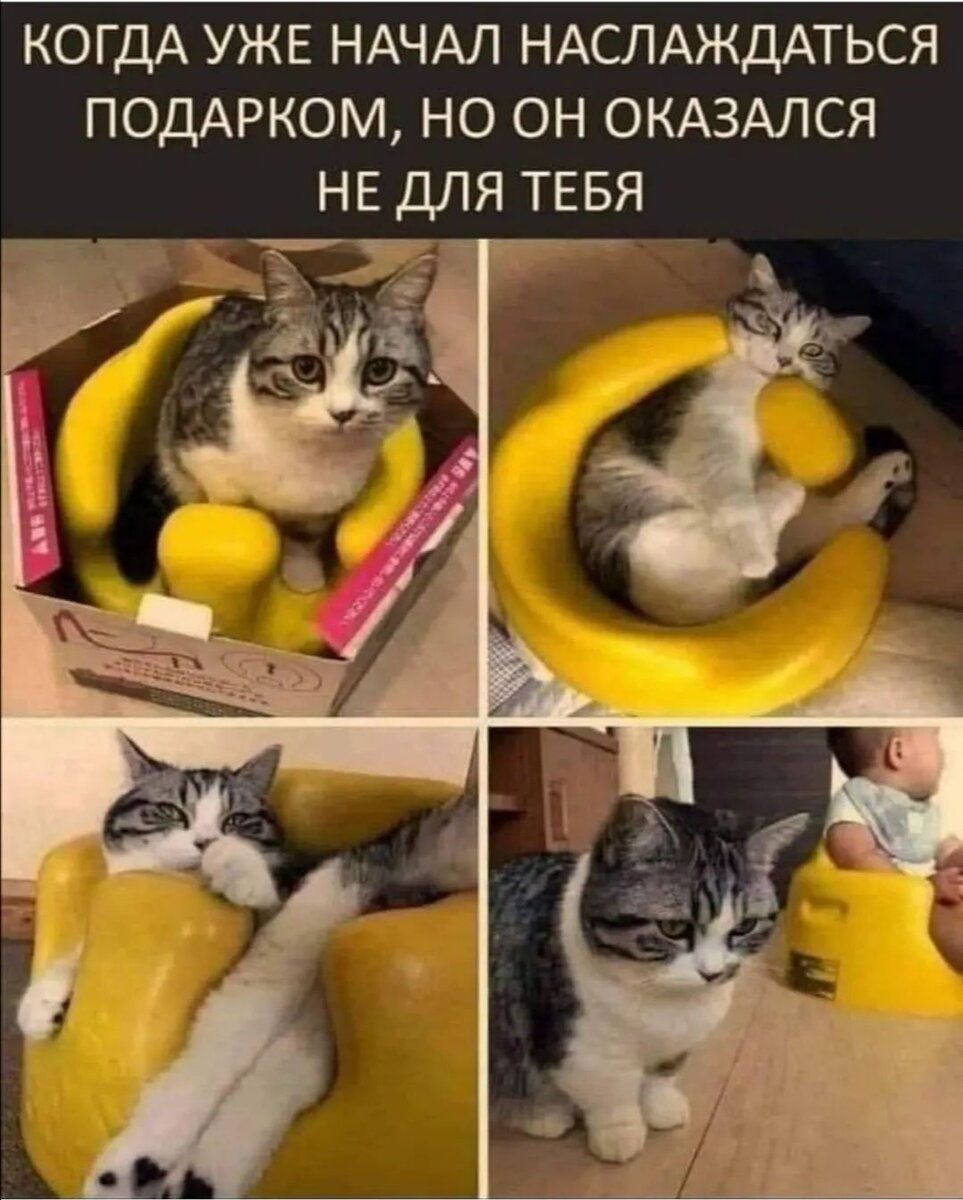 Надька своему на праздник молоток подарила😸 в что? Вещь нужная, ящитаю😸