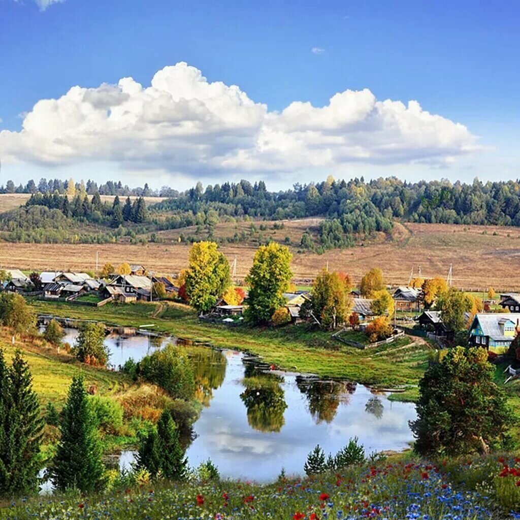 фото из открытых источников