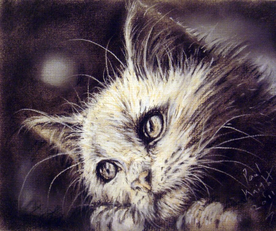 Рисунок с Pinterest для примера