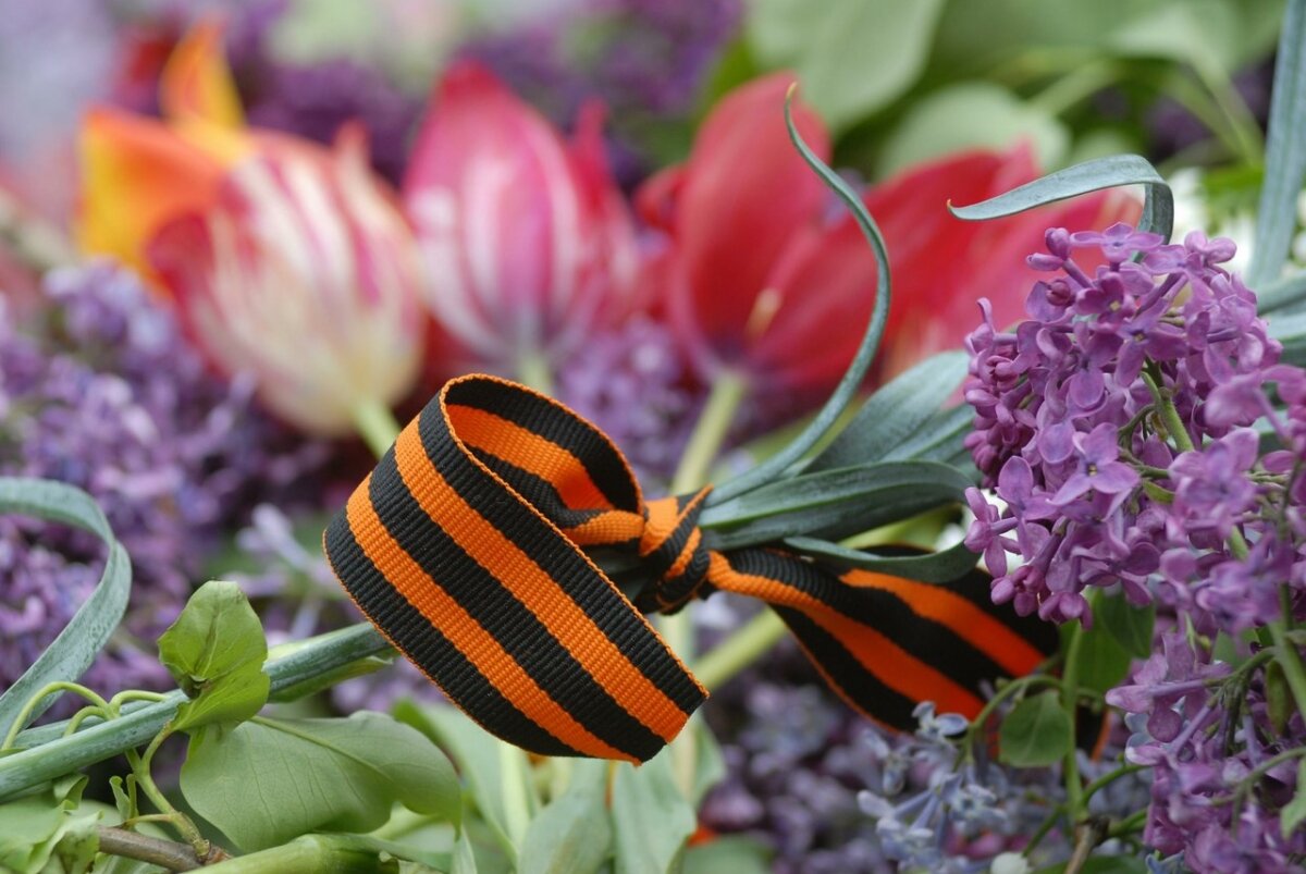 Картинка взята из сервиса Яндекс.Картинки