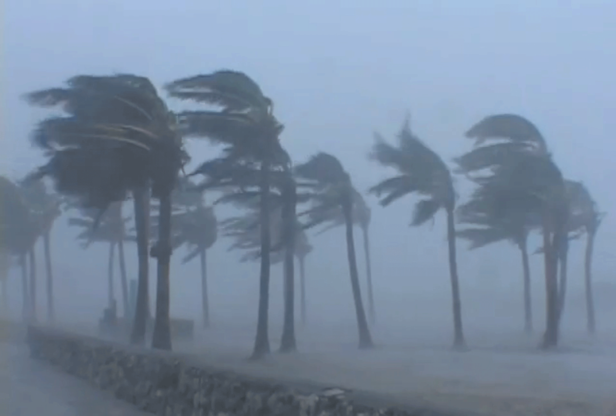Китайский большой ветер. Ураган ветер. Тропический циклон это ветер. Тропический ливень. Анимация сильный ветер.