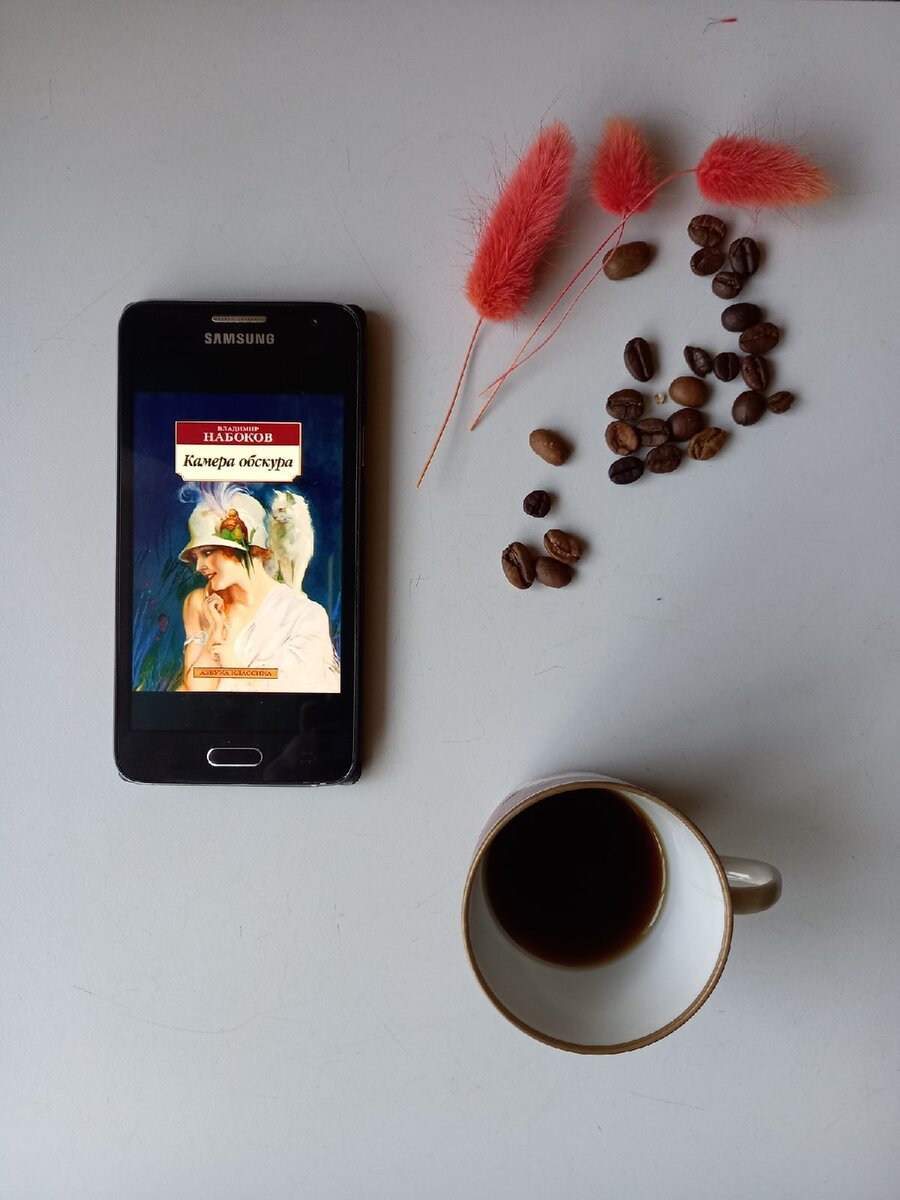 Владимир Набоков "Камера обскура"