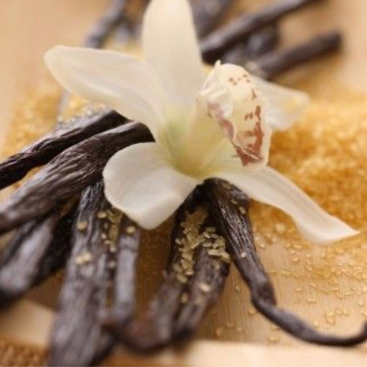 Фото из открытых источников.