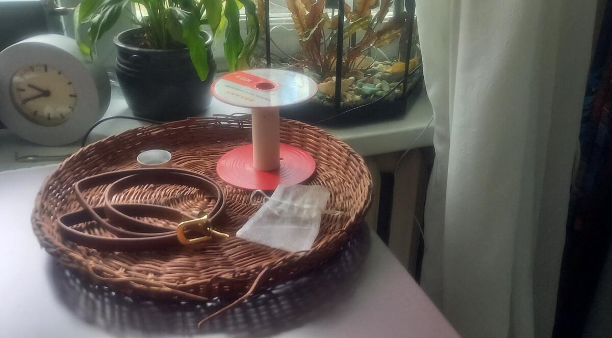 5 предметов.