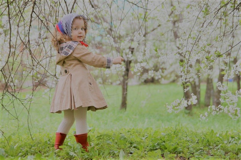 Яндекс. Картинки