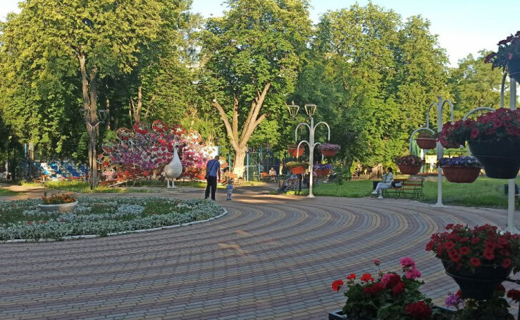    В Курске полиция ищет вора цветов из Детского парка