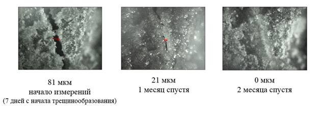 фото: Заживление трещин в бетоне с помощью биодобавки