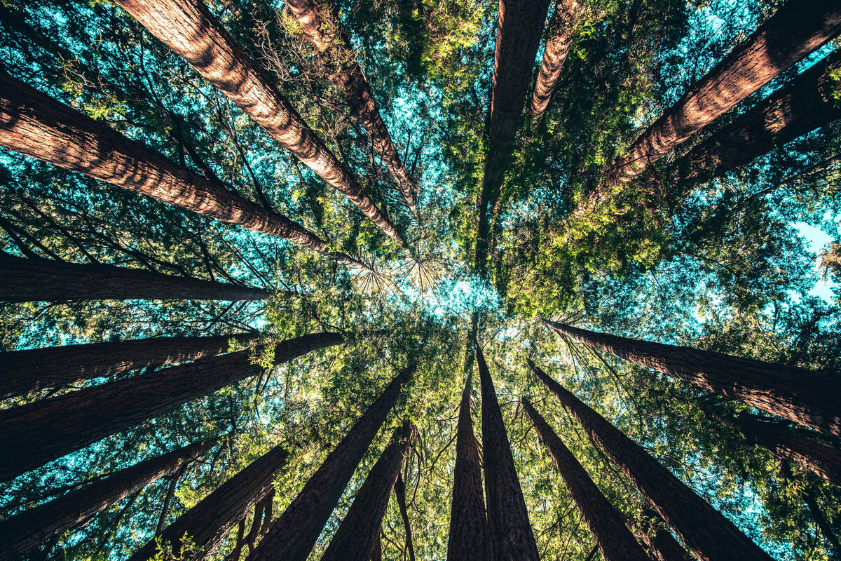 Photo by Casey Horner on Unsplash