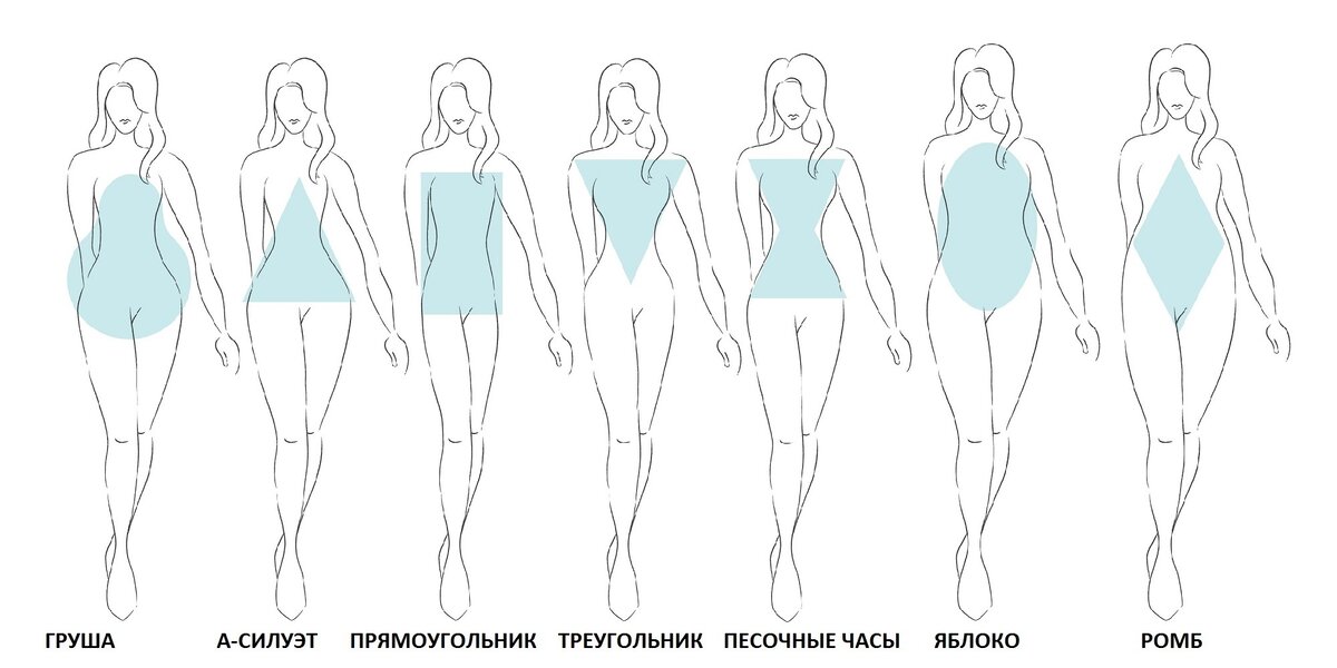 Форма тела рисунок