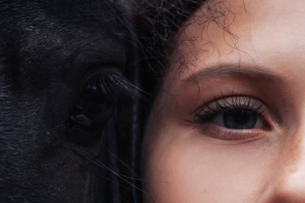 Фото взято у "Эко-парк Тольятти"