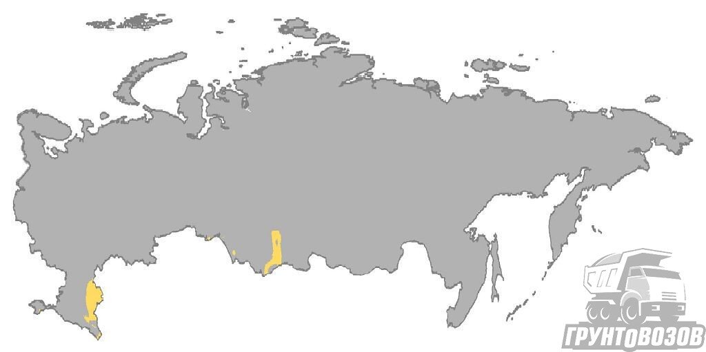 Почвы полупустынь и пустынь: география, условия образования и ...