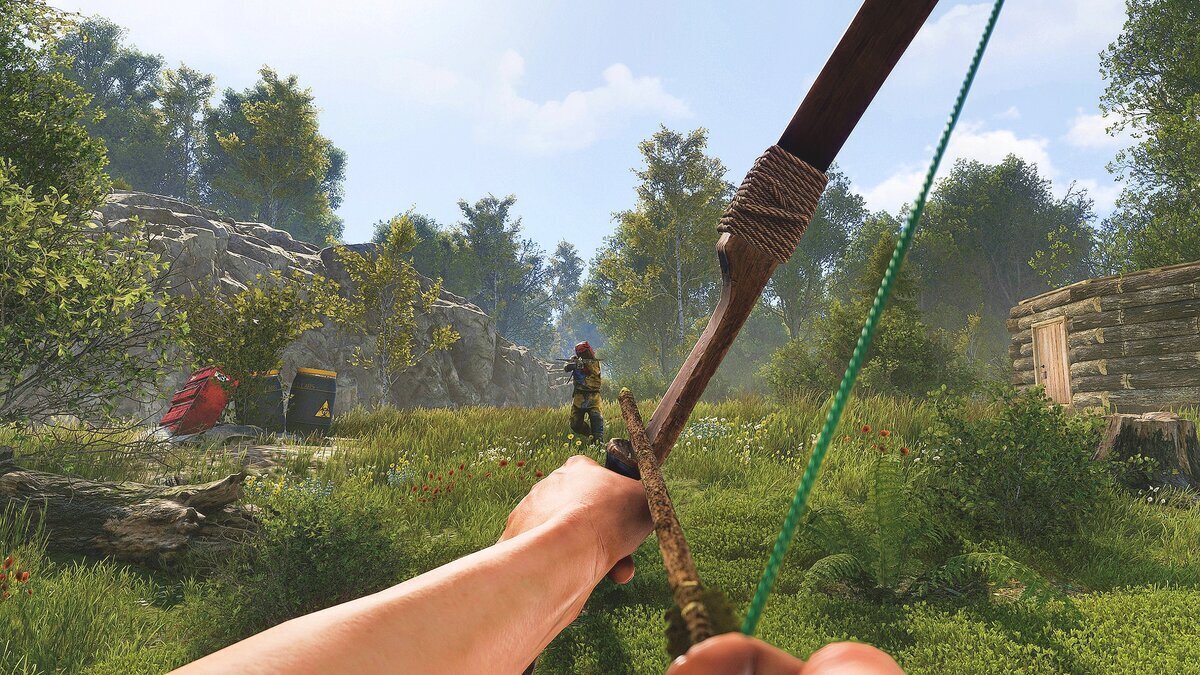 Скриншот игры 