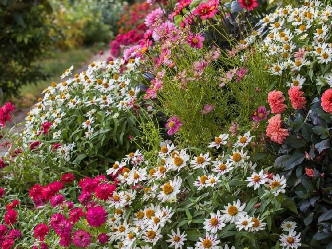Фото: facebook.com/rosannacastrinigardens