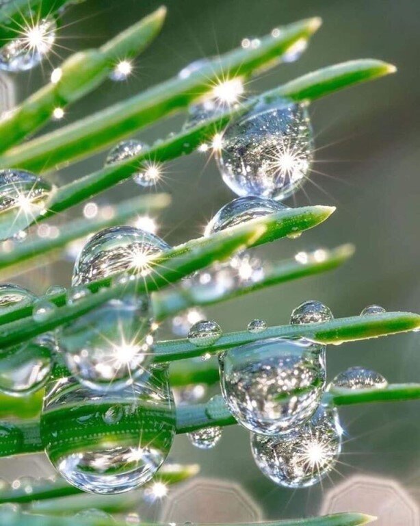 Изображение с открытого источника  