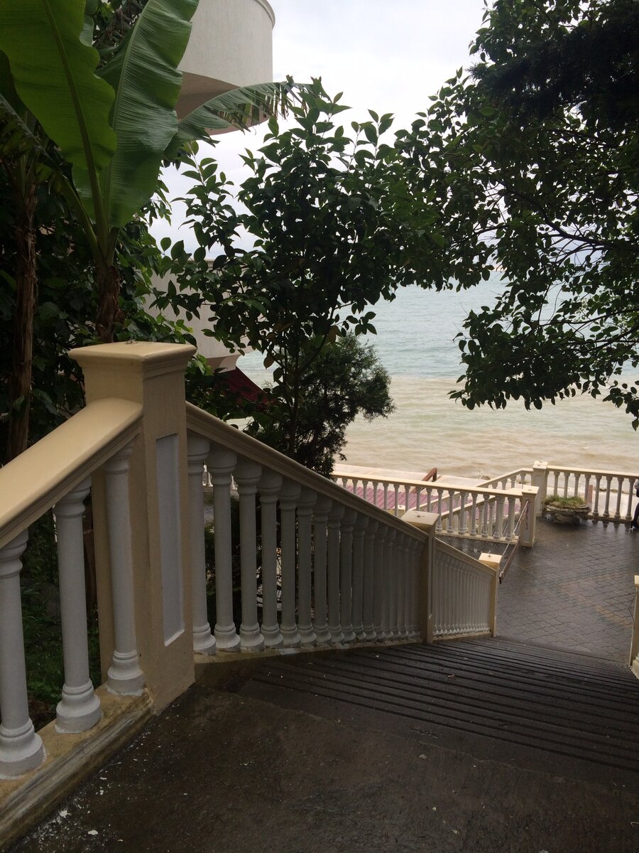 Мои одинокие прогулки