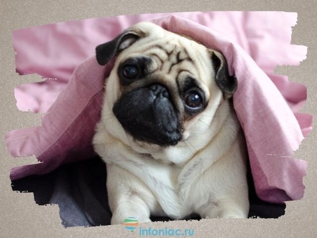  Getty Images Pro