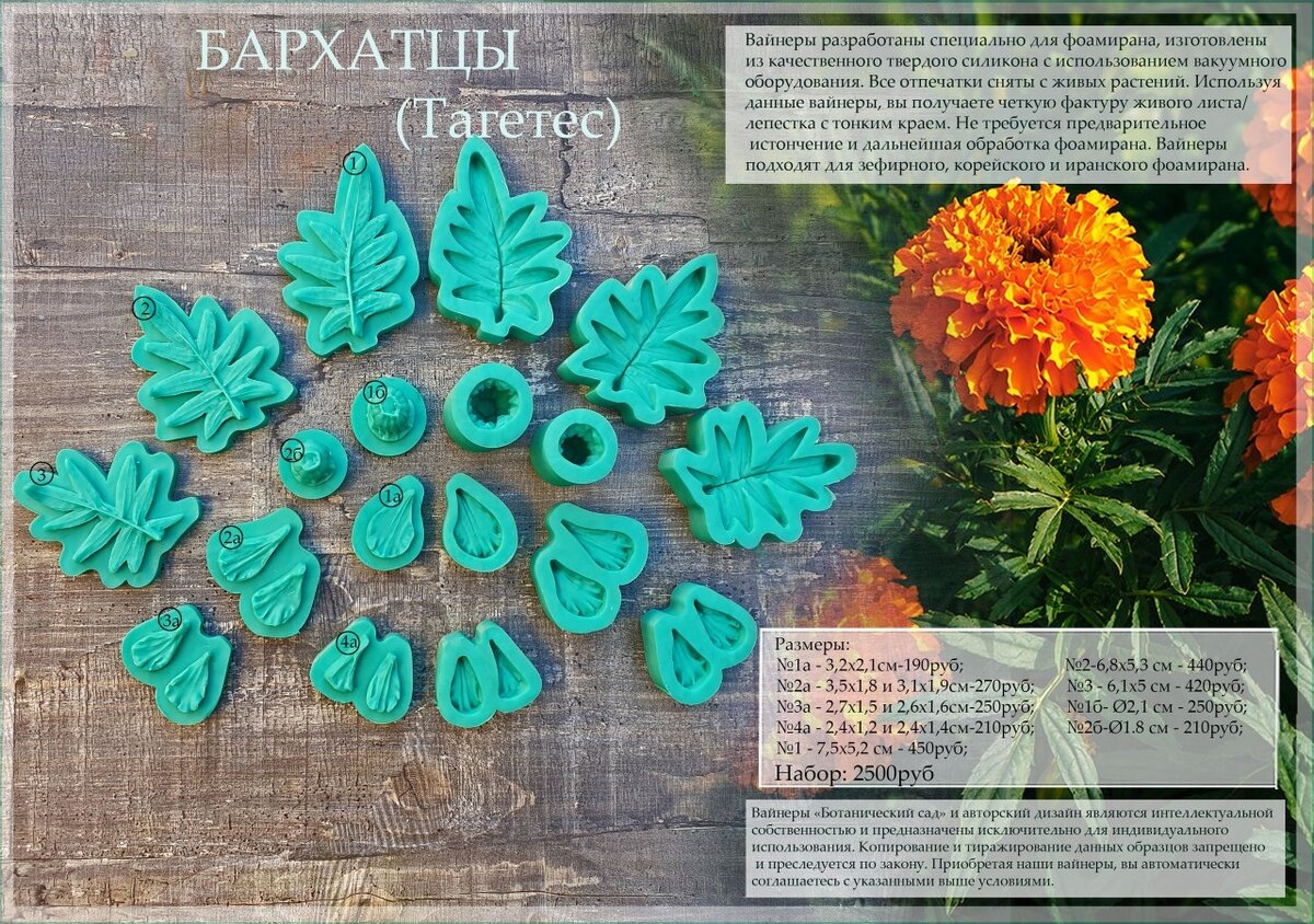 Вайнеры бархатцев от Ботанического сада.