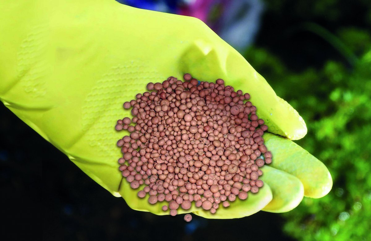 нитроаммофос желателен при весеннем внесении