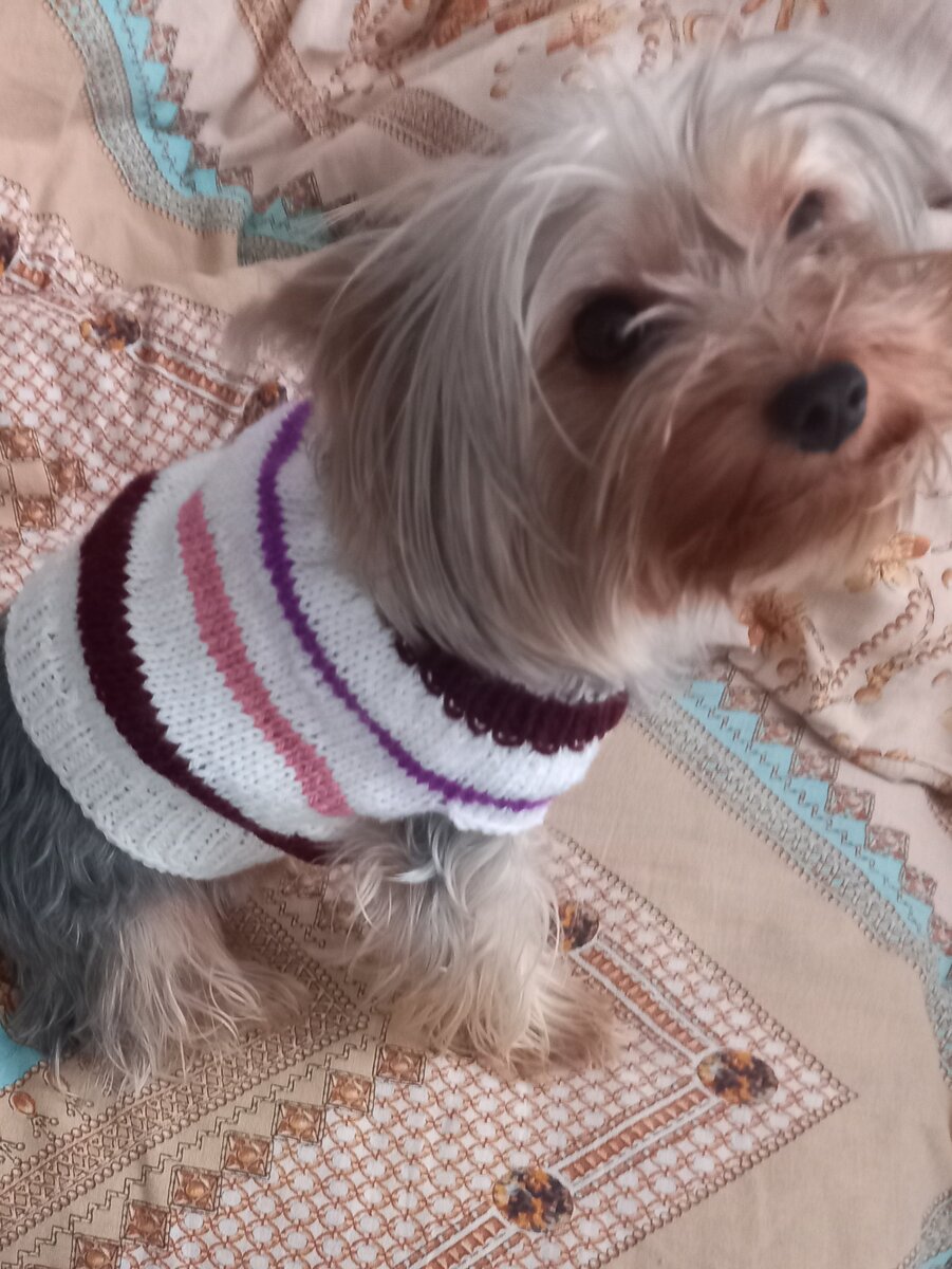 Это моя Фросечка