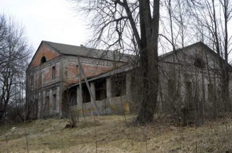 Усадьба Тюндевицких. Фото Антона Астаповича