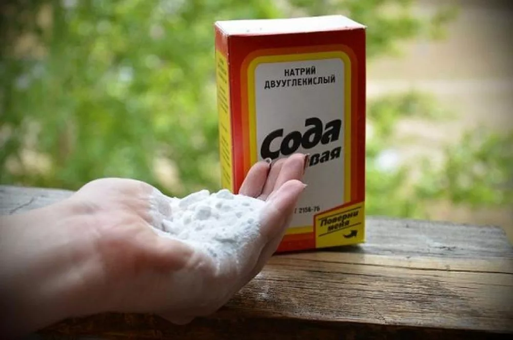 Фото: Яндекс