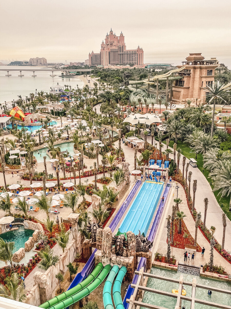 wild wadi аквапарк дубай