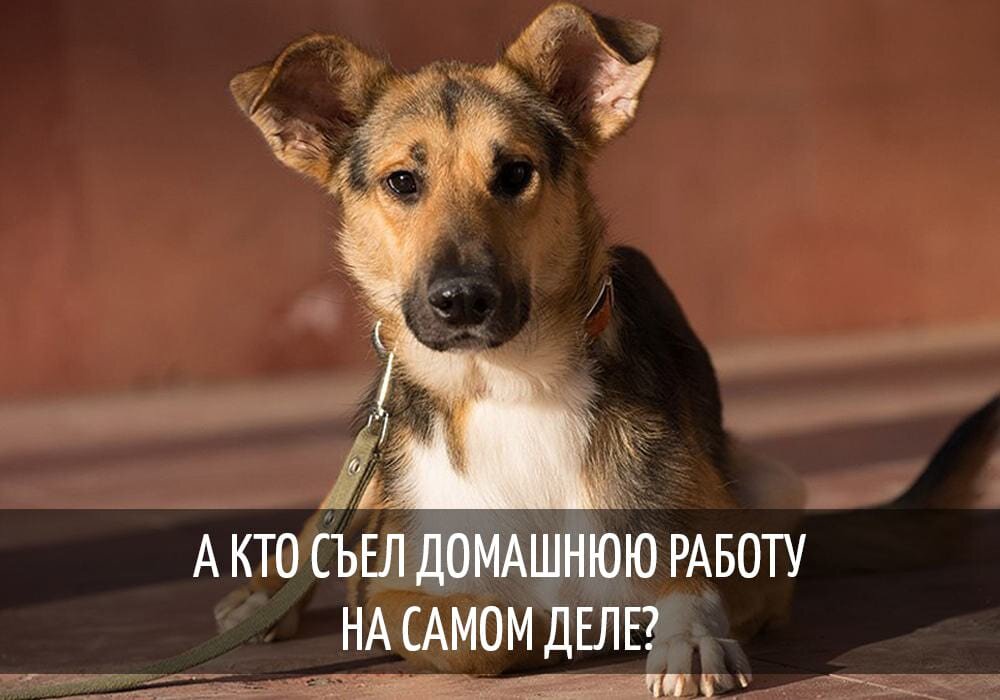 Источник фото: Яндекс
