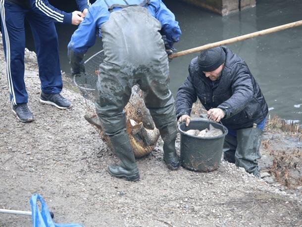 Неплохой улов.