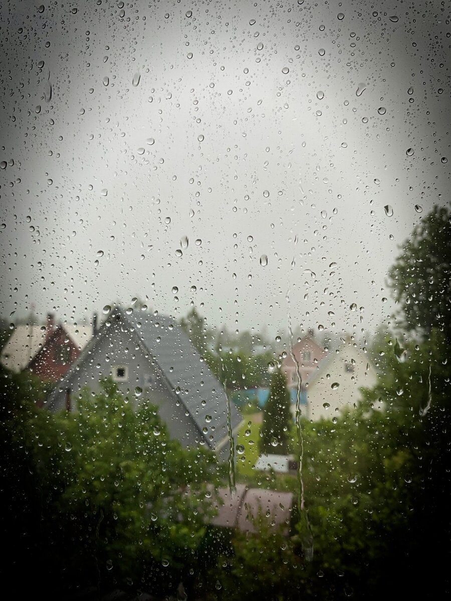 страшные истории