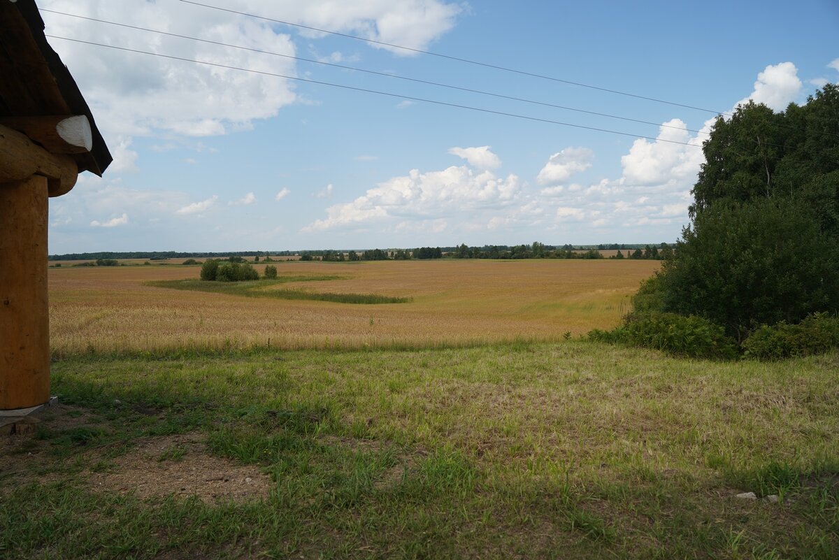НАСТОЯЩЕЕ РУССКОЕ ИЛИ ЕСЛИ ХОТИТЕ СИБИРСКОЕ ПОЛЕ. НО РАЗНИЦЫ НЕТ. БЫЛ РАНЬШЕ ПЕВЕЦ ЛЕЩЕНКО - ОДНОФАМИЛЕЦ НЫНЕШНЕГО, А МОЖЕТ И НЕТ, НЕ ЗНАЮ, ТАК ВОТ ОН ПЕСНЮ ПЕЛ "ЧУБЧИК КУЧЕРЯВЫЙ" И ТАМ БЫЛИ СЛОВА: "НОЯ СИБИРИ, СИБИРИ НЕ СТРАШУСЯ - В СИБИРИ ТОЖЕ РУССКАЯ ЗЕМЛЯ