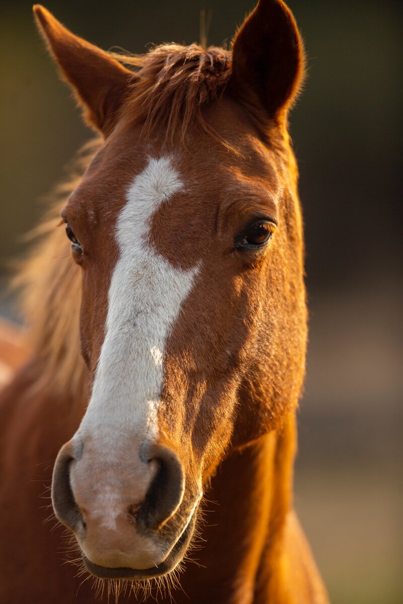  Pieter van Noorden/Unsplash