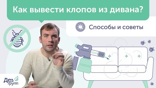 Как вывести клопов из дивана, кровати и квартиры❓ Обработка от клопов: сам или сэс? Дезинсекция