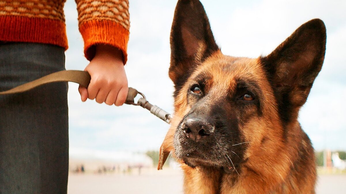 Кадр из фильма "Пальма", фото Яндекс.Картинки