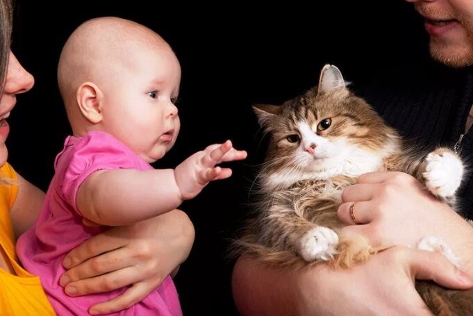 Источник фото: яндекс.картинки