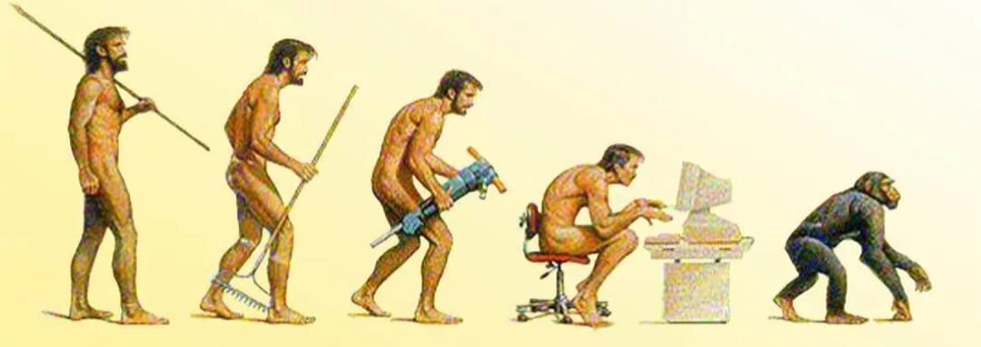 Эволюция - деградация..